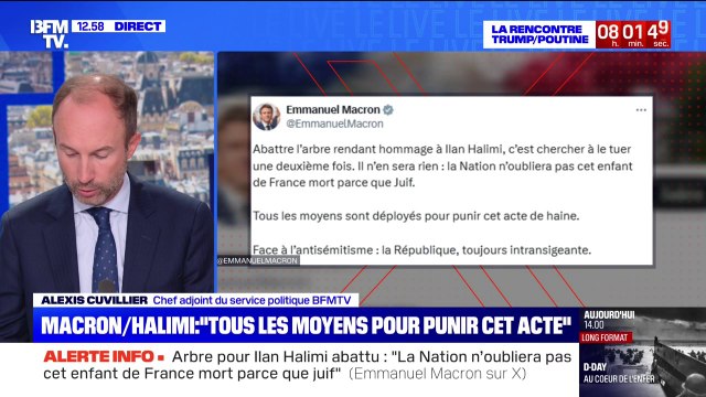 Arbre en hommage à Ilan Halimi abattu: C'est chercher à le tuer une deuxième fois , réagit Emmanuel Macron