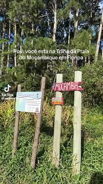 Caminho para a praia do Moçambique, em Florianópolis, encanta no TikTok Coisa linda