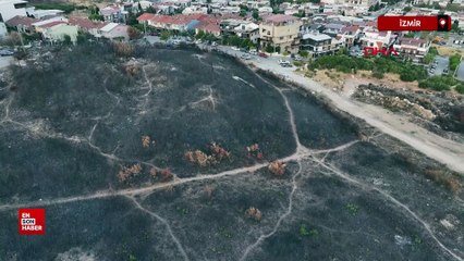 İzmir'deki orman yangınında yanan alanlar havadan görüntülendi