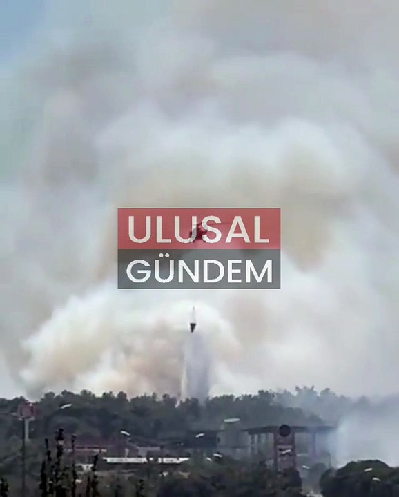 Çanakkale'de yeni orman yangını! Alevler Güzelyalı'daki villalara sıçradı, Havaalanı kapatıldı