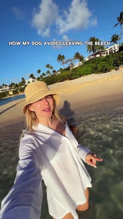 My Golden Retriever on vacation| #usa #america #dog #golden #usadog #unitedstates # viral