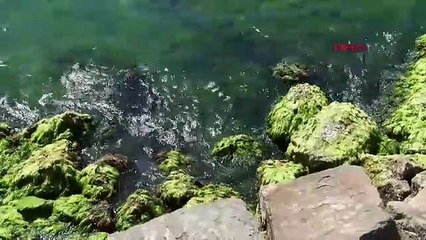 Kötü haberi Meteoroloji uzmanı verdi: ''Nem daha da artacak!''