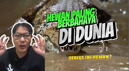 Hewan Paling Berbahaya di Dunia-Serius Ini Hewan?