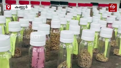 മുരളി മാഷ് എന്ന കൃഷി പാഠശാല; സ്വന്തമായുള്ളത് 'വിത്ത് പൊതി' അടക്കം അത്യപൂര്‍വ കാര്‍ഷിക ശേഖരം