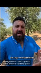 michelemonopoli l'abbandono dei cani per le vacanze