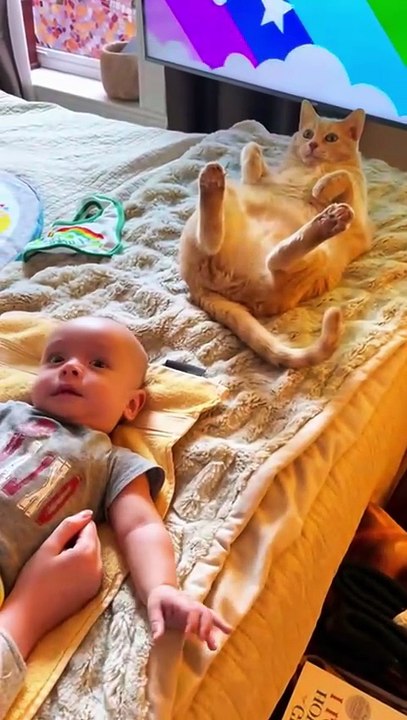 When your cat thinks it’s a human #fyp #foryou #cat #cats