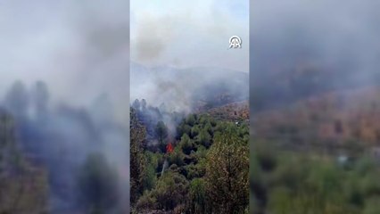 İzmir'in iki ilçesinde korkutan yangın