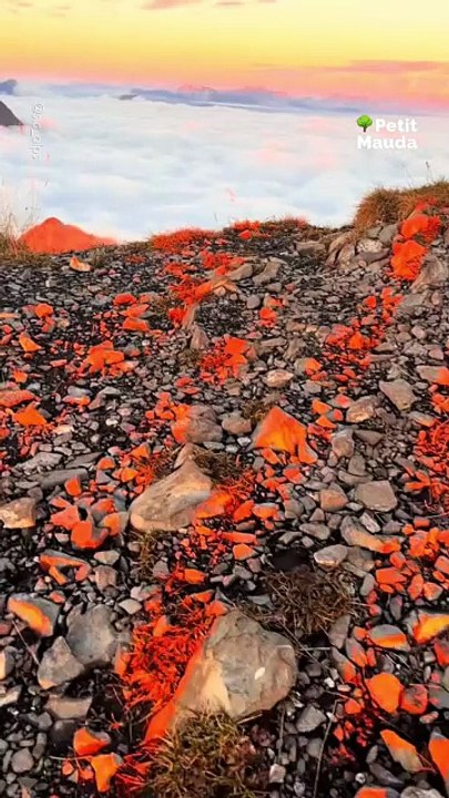 Envie de grands espaces, d’air pur et de vues à couper le souffle ? 🏞️✨