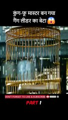 shorts movie explanation कुंग-फू मास्टर बन गया गैंग लीडर का बेटा The gang leader's son becomes a kung-fu master