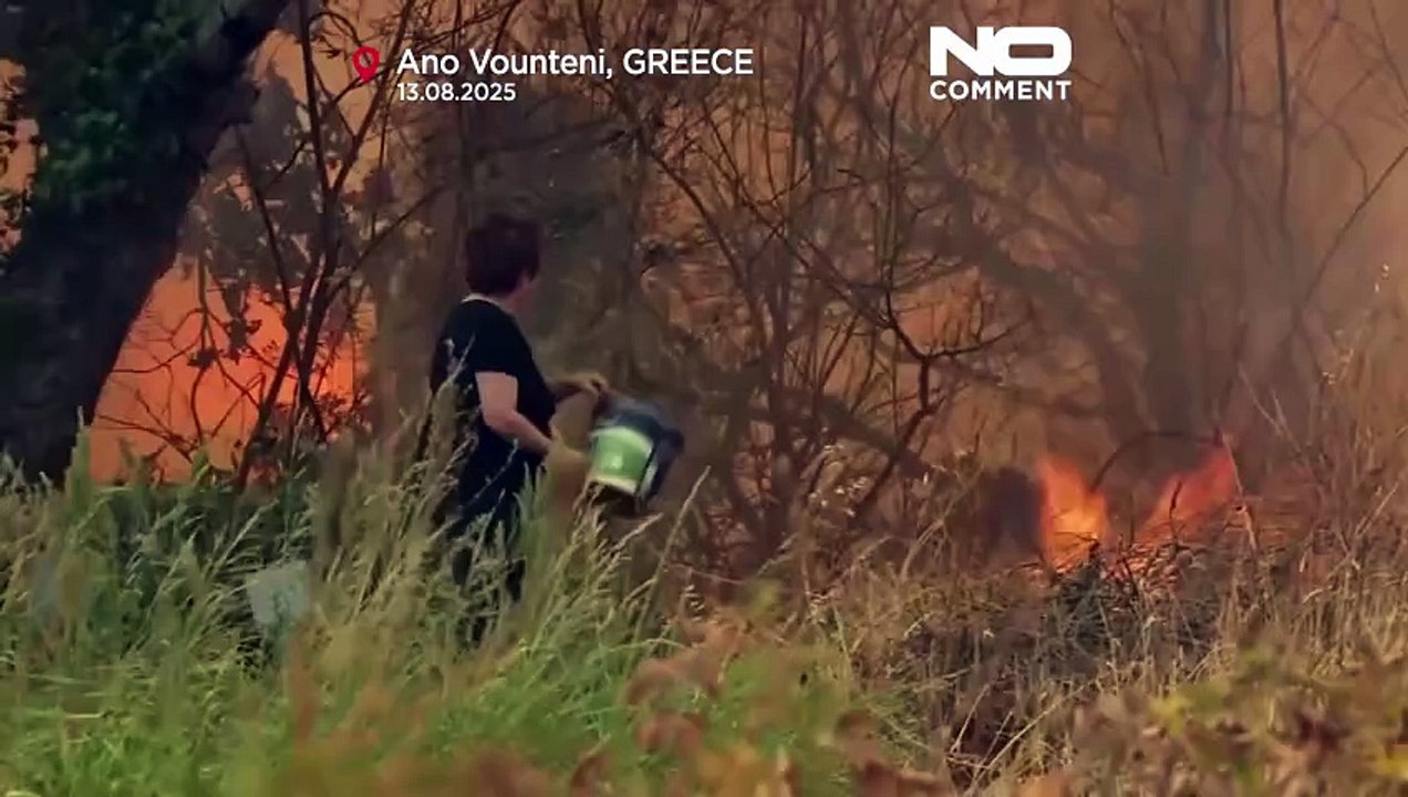 Greece battles multiple wildfires as strong winds spread flames
