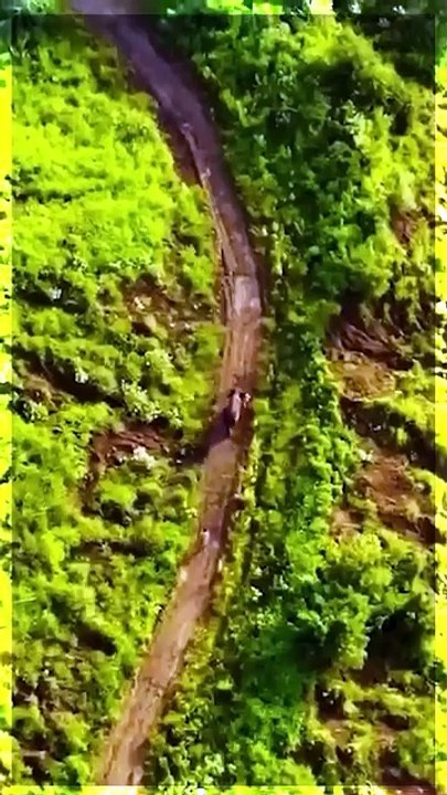 इंसानियत और प्रकृति का संगम- जमनगर में Vantara 🏞️