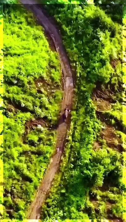 जय श्री गणेश, जय गजानन 🐘