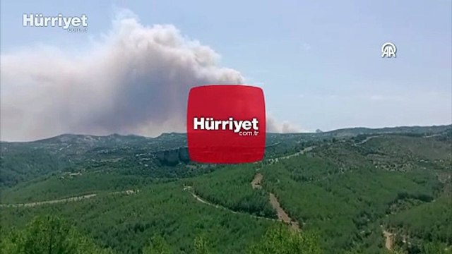 Mersin'in Silifke ilçesinde orman yangını