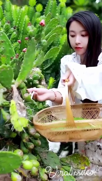 Cactus fruit farming