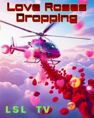 Rain of Red Roses from the Sky