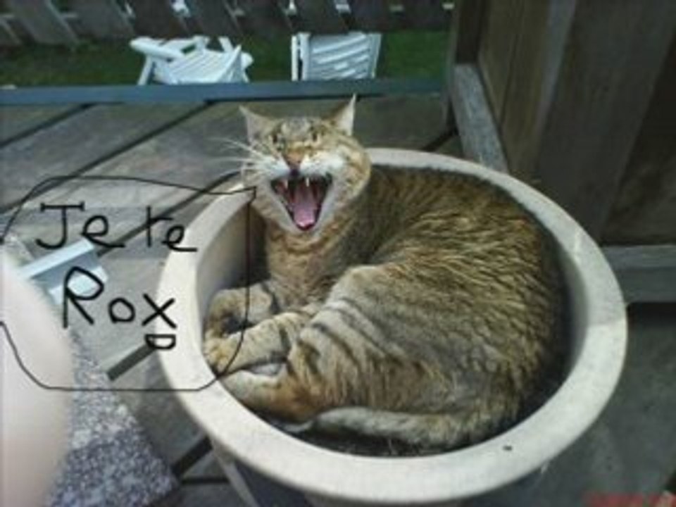 Je te rox  (raph noob)