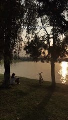 Lagian yang pengen kek gini siapa? Capek anjing..