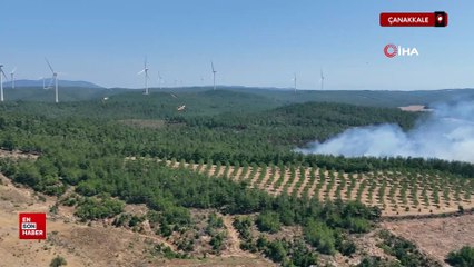 Çanakkale'de alevler yeniden yükseldi