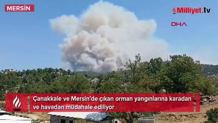 Mersin ve Çanakkale’de orman yangınları! Ekipler sevk edildi