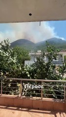 Ιωάννης Απέργης: Το βίντεο που ανέβασε με τις φωτιές 2