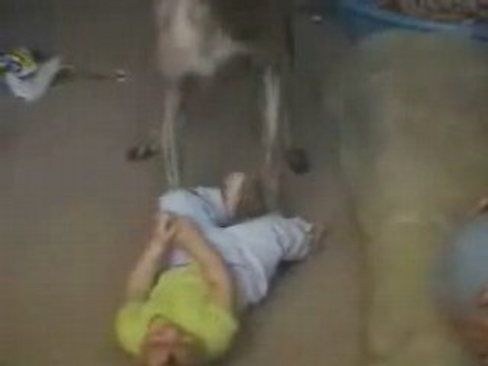 Lachvandedag.nl - Hond met baby