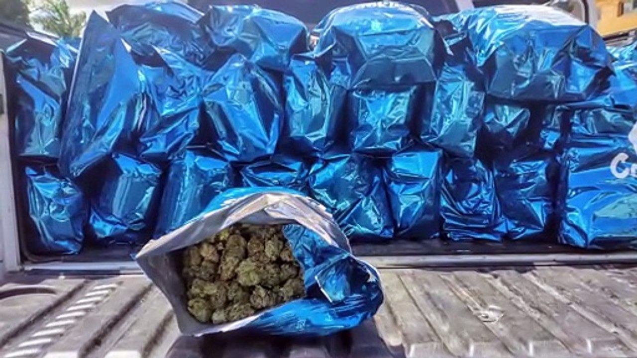 apreensão de 185 quilos de maconha escondida em biscoitos na BR-423: polícia rodoviária federal e DENARC investigam o caso