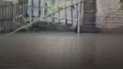 कटिहार में बाढ़ का कहर...गांवों में मची भारी तबाही, सैकड़ों लोग बेघर