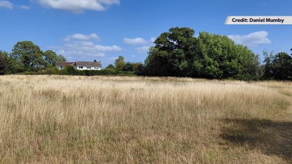 Inquiry begins into ‘new homes’ that could be built on ‘unique’ green space in Somerset