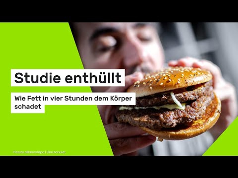 Studie enthüllt: Wie Fett in vier Stunden dem Körper schadet