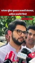 आदित्य ठाकरेंचा धनंजय मुंडेंवर हल्लाबोल