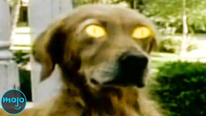 These Were The Biggest Trends of the 90s...