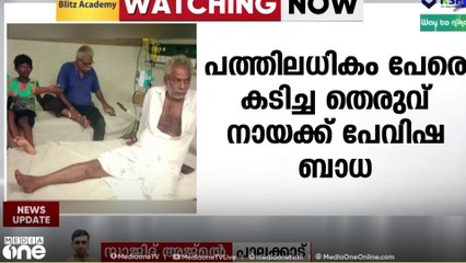 ചിറ്റൂരിൽ പത്തിലധികം പേരെ കടിച്ച തെരുവു നായയ്ക്ക് പേവിഷബാധ സ്‌ഥിരീകരിച്ചു