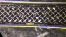 Cleaning Under The Microscope - Phone Cleaning You Have Never Seen Before.