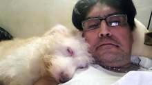 Cookie soñando: ¡La siesta más tierna de mi perrita!