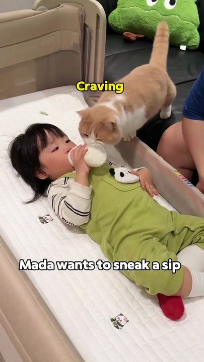 Like Twins! My Baby and Cat Drink Milk Side by Side 🍼🐱