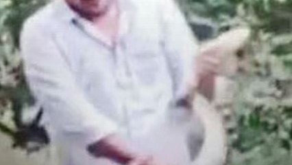 अमरेली: लड़कियों के आश्रय स्थल में घुसा 12 फीट लंबा अजगर