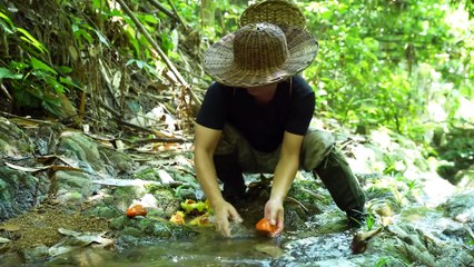 EP.485 - Caminhada solo na selva, pesca, culinária ao ar livre, peixe grelhado, arroz de bambu