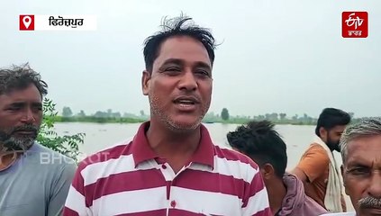 ਹਰੀਕੇ ਹੈੱਡ ਵਰਕਸ ਤੋਂ ਛੱਡਿਆ ਪਾਣੀ, ਹੁਸੈਨੀਵਾਲਾ ਦੇ ਪਿੰਡਾਂ 'ਚ ਵਧਿਆ ਹੜ੍ਹ ਦਾ ਖ਼ਤਰਾ
