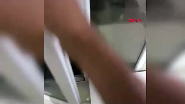 Böyle dostluk görülmedi! Tilki cips yemeye alıştı