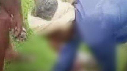 कौशांबी में 14 बंदरों की मौत से मचा हड़कंप