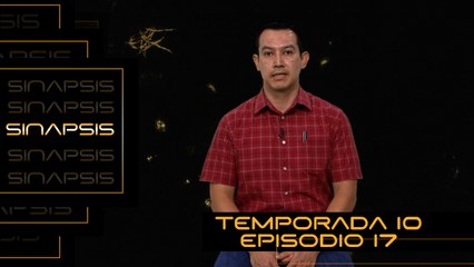 T10 Ep. 17 Sinapsis | Algoritmos bio-inspirados