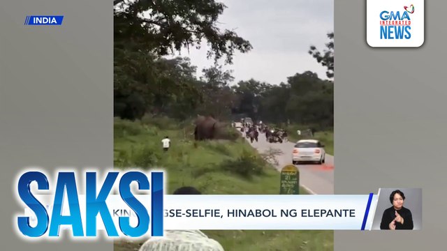 Saksi: (Part 3) Lalaking nagse-selfie, hinabol ng elepante; Mangingisda, binugahan ng tinta ng pusit sa mukha, Mag-BFF na aso at pusa