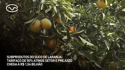 Subprodutos do suco de laranja: tarifaço de 50% atinge setor e prejuízo chega a R$ 1,54 bi