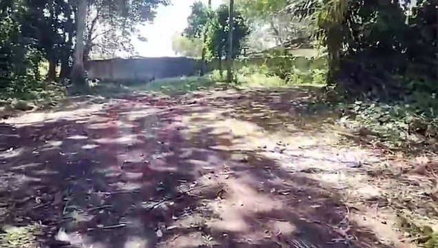 Denuncia - obra em área de preservação ambiental no aeroporto de Ilhéus (1)