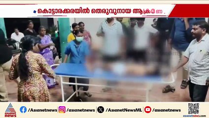 കൊട്ടാരക്കരയിൽ തെരുവുനായ ആക്രമണം; എട്ടു വയസുകാരിയടക്കം 7 പേർക്ക് പരിക്ക്