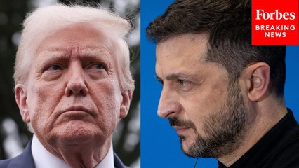 Reporter To Karoline Leavitt: Has US Urged Zelensky To Give Up 'No Land For Peace' Stance?