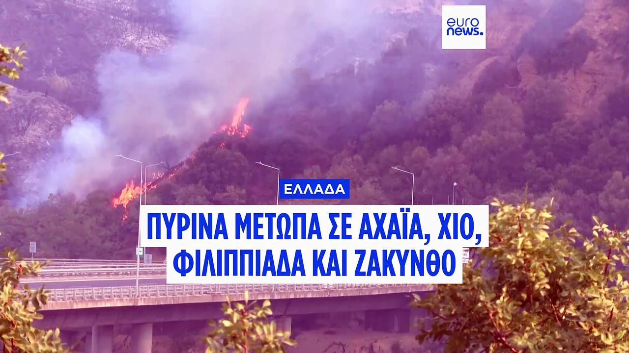 Πυρκαγιές στην Ελλάδα: Ολονύχτια μάχη με τα πύρ...