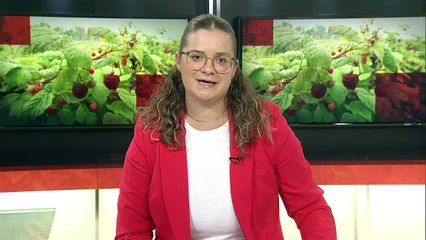 TVA Nouvelles CIMT 12h 13 AOÛT 2025