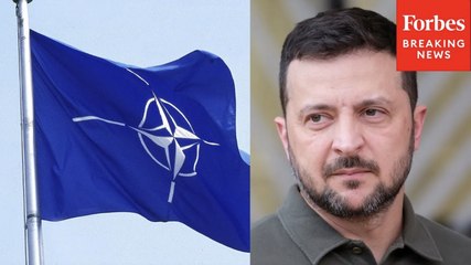 President Zelensky: Russia 'Cannot Have A Veto' On Ukraine's Future In NATO Or European Union
