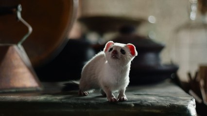 His Dark Materials - A la croisée des mondes